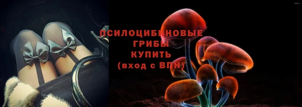 ПСИЛОЦИБИНОВЫЕ ГРИБЫ Аркадак