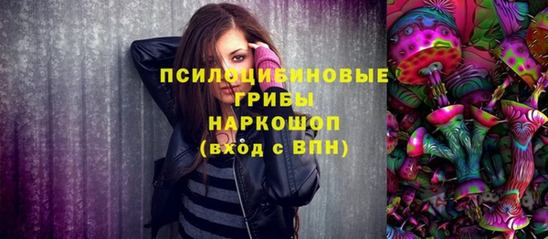 ПСИЛОЦИБИНОВЫЕ ГРИБЫ Аркадак