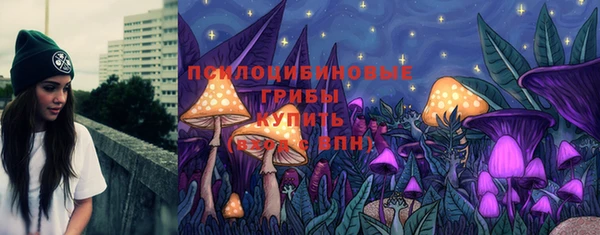 ПСИЛОЦИБИНОВЫЕ ГРИБЫ Аркадак