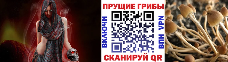 дарнет шоп  Асбест  shop состав  Галлюциногенные грибы мухоморы 
